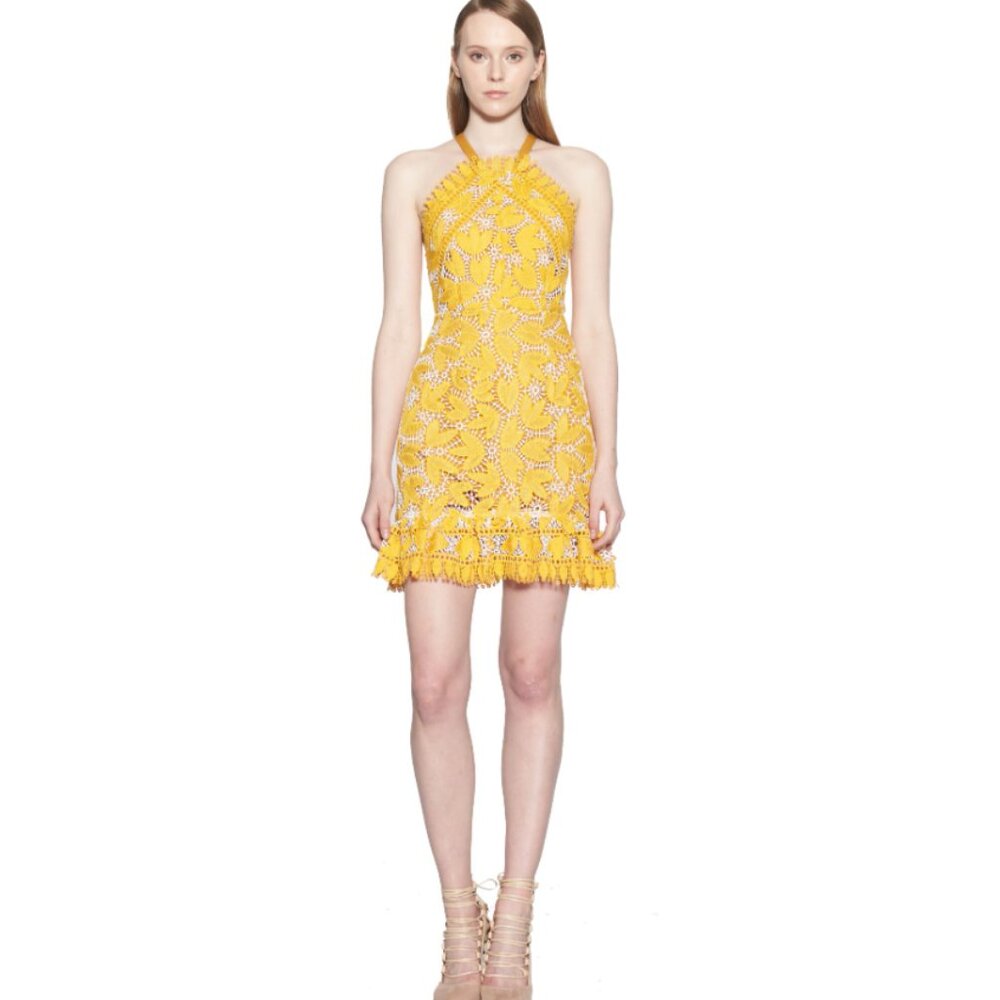 aijek Marianna Lace Embroidered Halter Dress